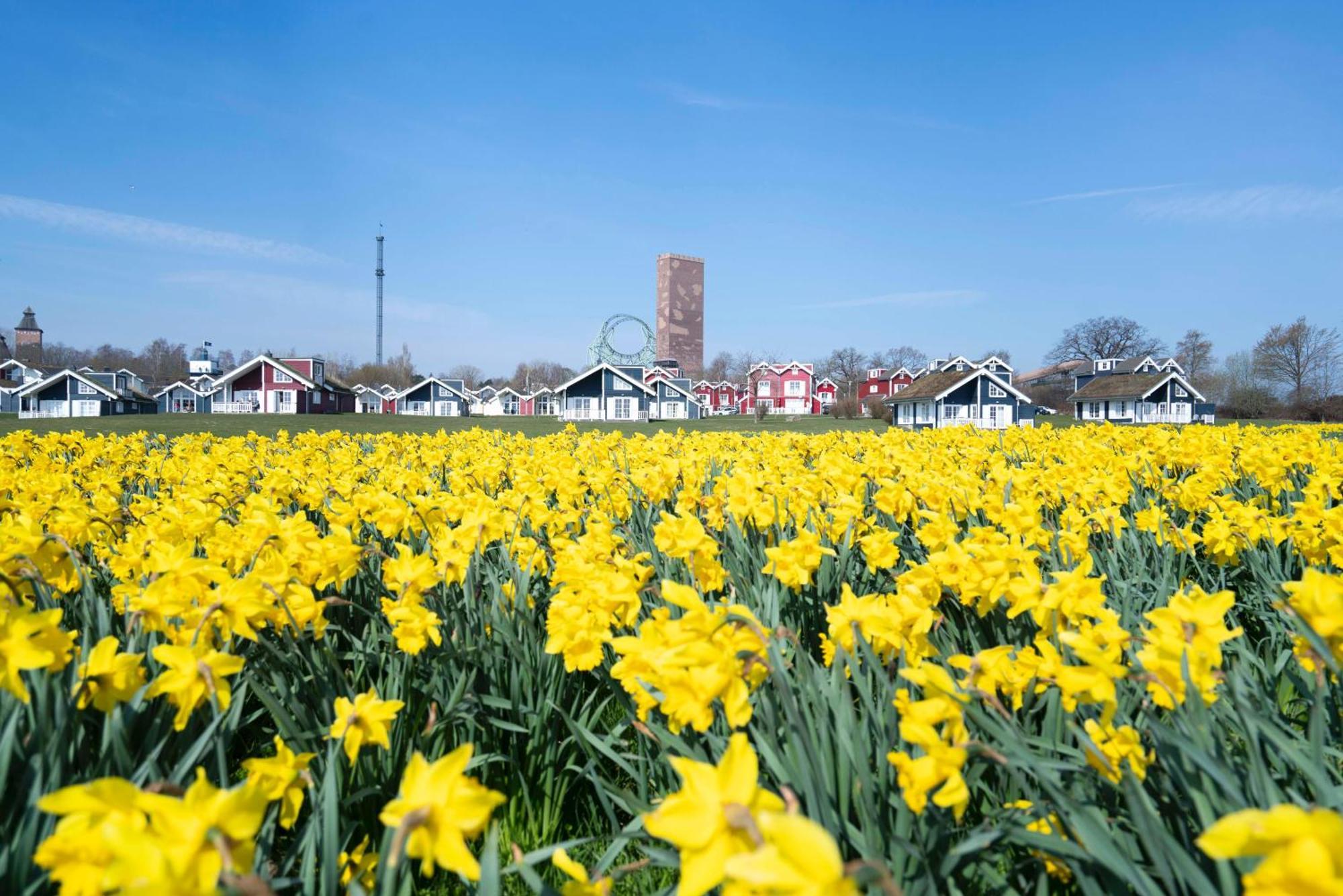 Strandpark Sierksdorf H058 Exteriör bild